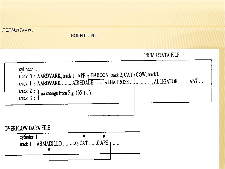 PERMINTAAN : INSERT ANT 