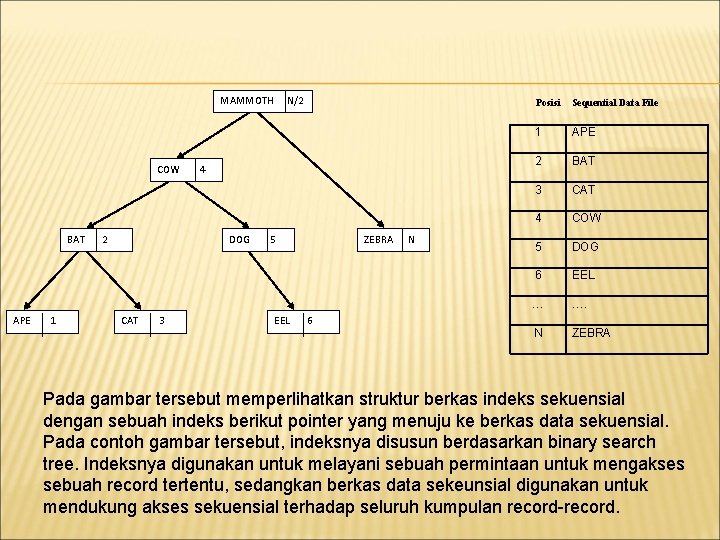 MAMMOTH COW BAT APE 1 2 4 DOG CAT 3 N/2 5 EEL ZEBRA