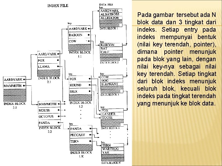 Pada gambar tersebut ada N blok data dan 3 tingkat dari indeks. Setiap entry