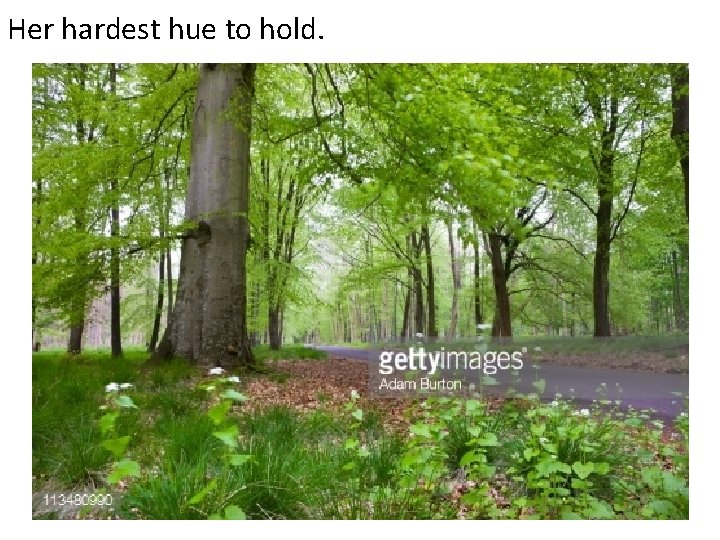 Her hardest hue to hold. 
