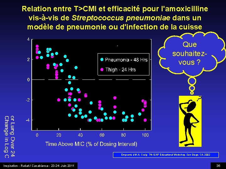 Relation entre T>CMI et efficacité pour l'amoxicilline vis-à-vis de Streptococcus pneumoniae dans un modèle