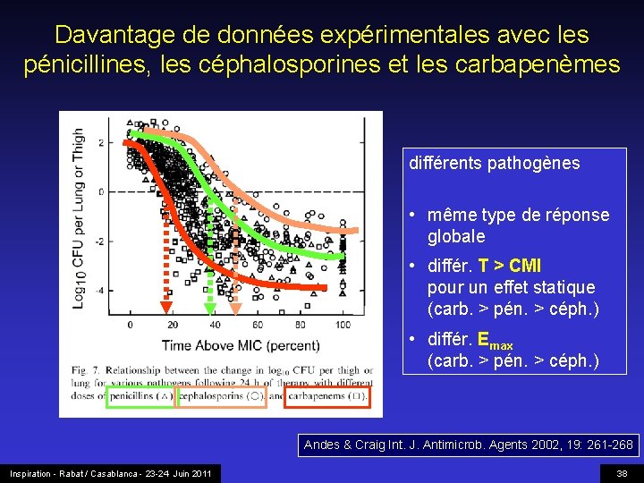 Davantage de données expérimentales avec les pénicillines, les céphalosporines et les carbapenèmes différents pathogènes