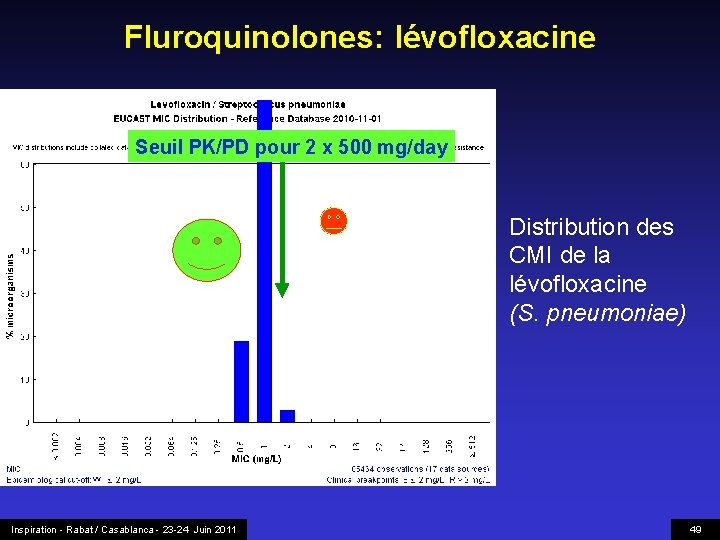 Fluroquinolones: lévofloxacine Seuil PK/PD pour 2 x 500 mg/day Distribution des CMI de la