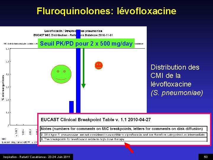 Fluroquinolones: lévofloxacine Seuil PK/PD pour 2 x 500 mg/day Distribution des CMI de la