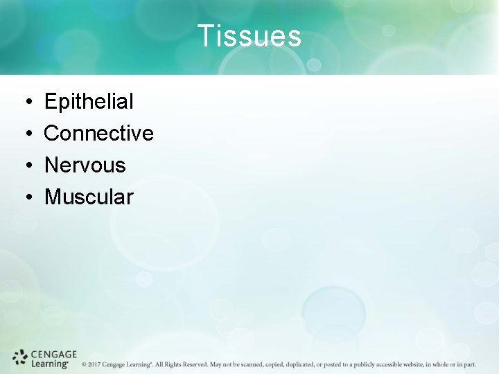 Tissues • • Epithelial Connective Nervous Muscular 