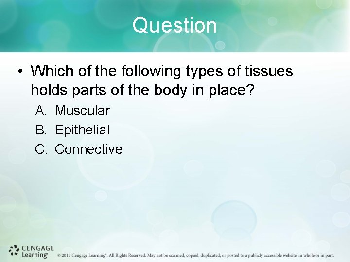 Question • Which of the following types of tissues holds parts of the body