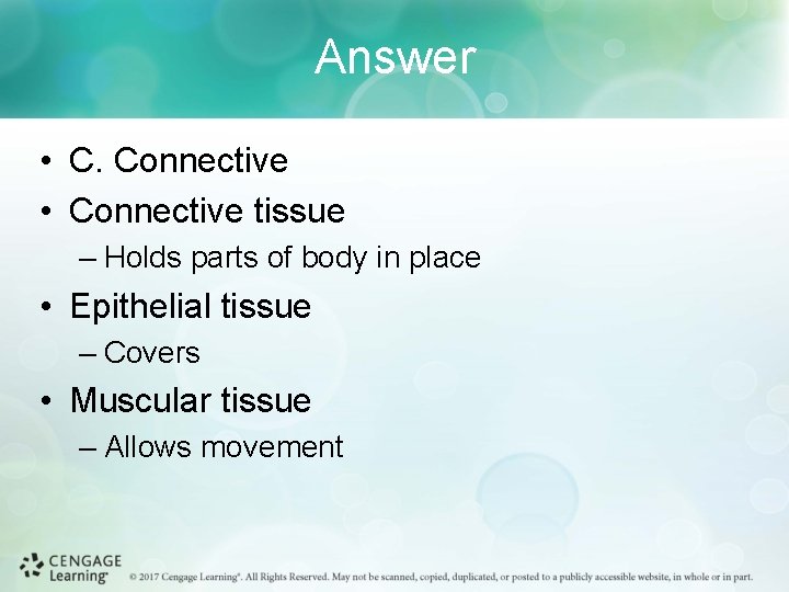 Answer • C. Connective • Connective tissue – Holds parts of body in place