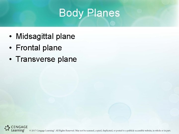 Body Planes • Midsagittal plane • Frontal plane • Transverse plane 