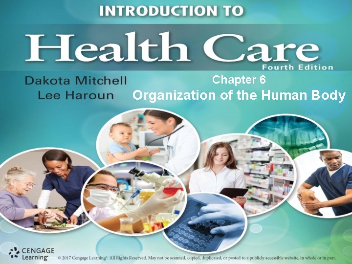 Chapter 6 Organization of the Human Body 