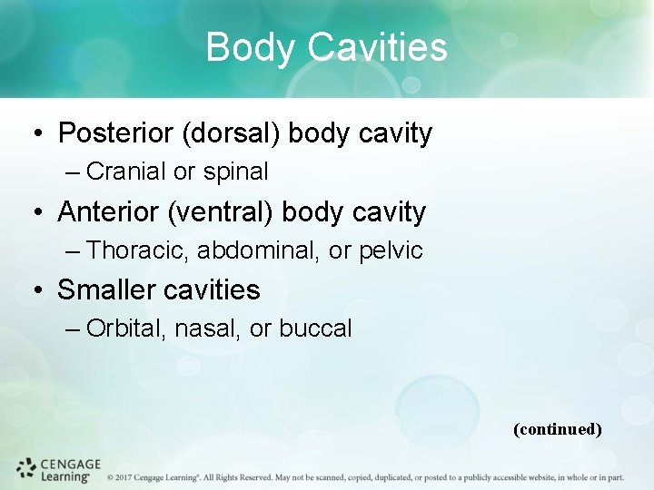 Body Cavities • Posterior (dorsal) body cavity – Cranial or spinal • Anterior (ventral)
