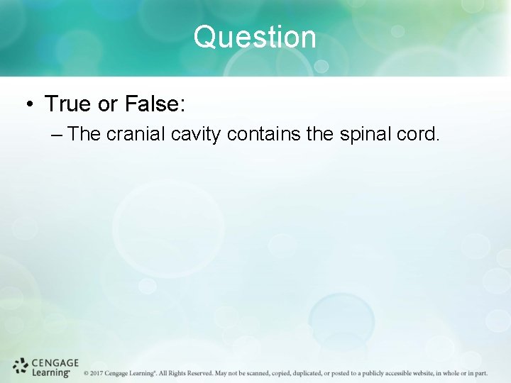 Question • True or False: – The cranial cavity contains the spinal cord. 