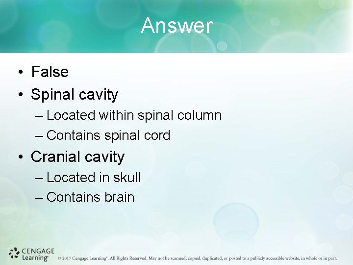 Answer • False • Spinal cavity – Located within spinal column – Contains spinal