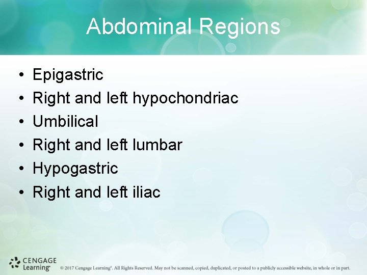 Abdominal Regions • • • Epigastric Right and left hypochondriac Umbilical Right and left