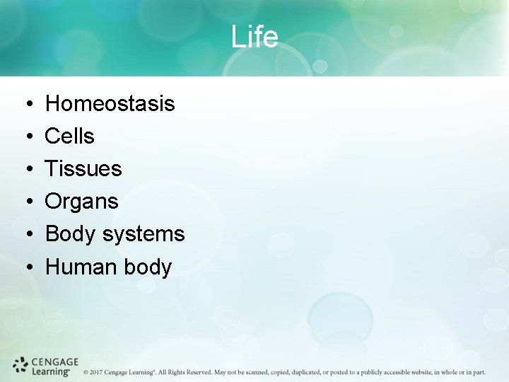 Life • • • Homeostasis Cells Tissues Organs Body systems Human body 