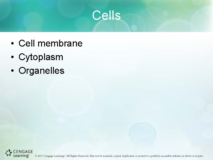 Cells • Cell membrane • Cytoplasm • Organelles 