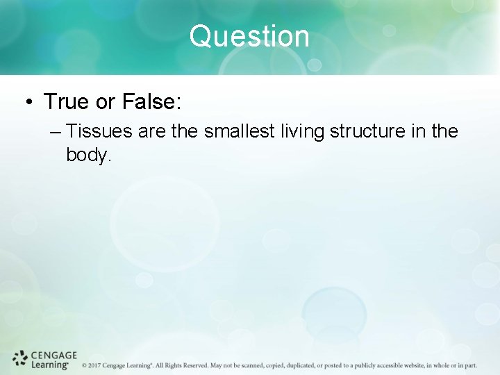 Question • True or False: – Tissues are the smallest living structure in the