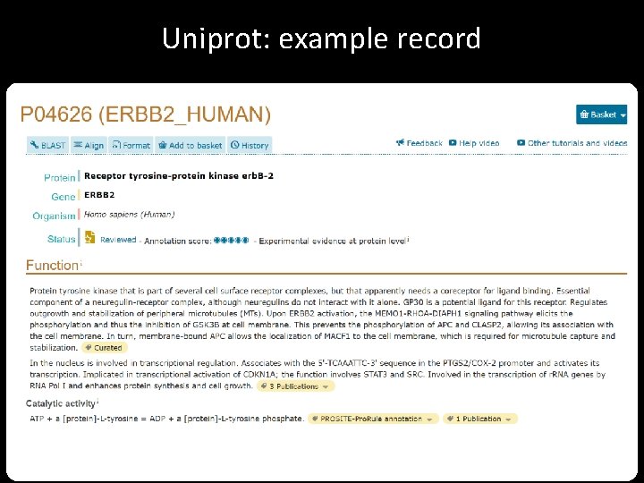 Uniprot: example record 