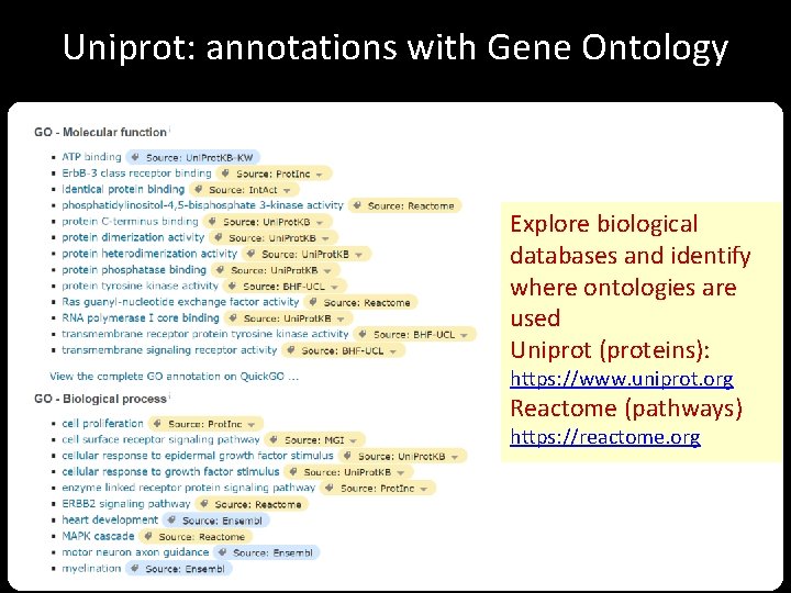 Uniprot: annotations with Gene Ontology Explore biological databases and identify where ontologies are used