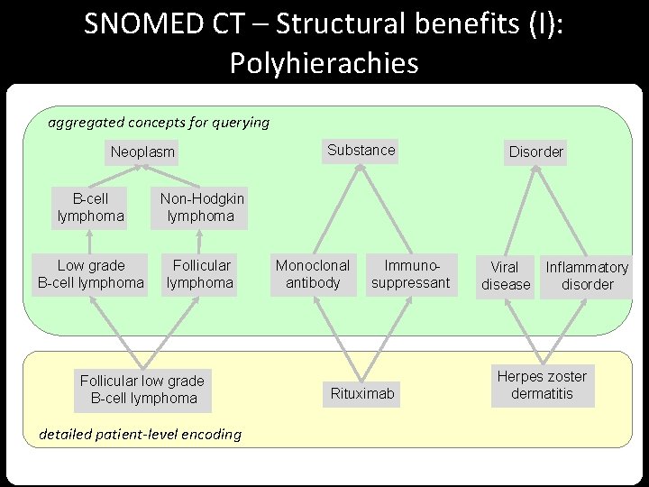 SNOMED CT – Structural benefits (I): Polyhierachies aggregated concepts for querying Neoplasm B-cell lymphoma