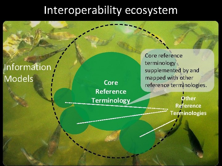 Interoperability ecosystem Information Models Core Reference Terminology Core reference terminology supplemented by and mapped