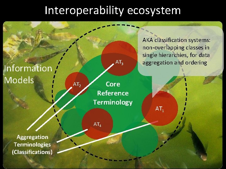 Interoperability ecosystem Information Models AT 3 AT 2 Core Reference Terminology AT 4 Aggregation