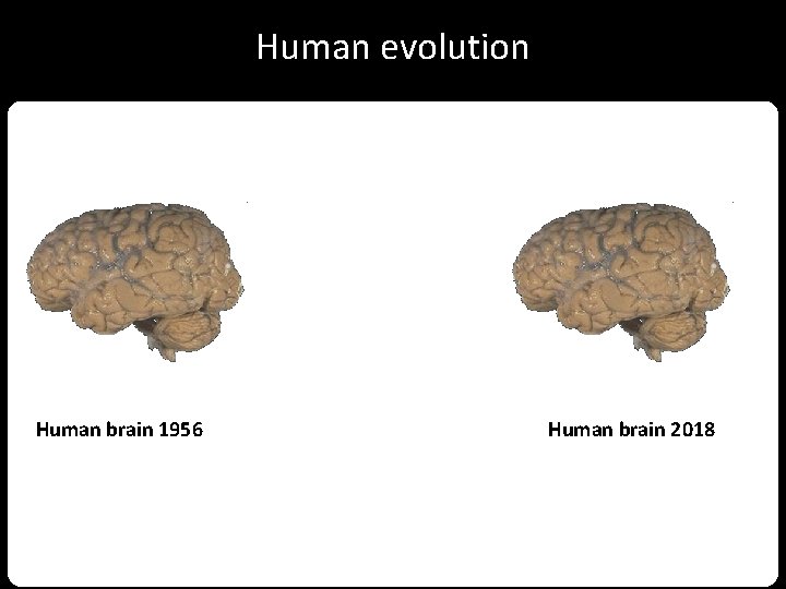 Human evolution Human brain 1956 Human brain 2018 