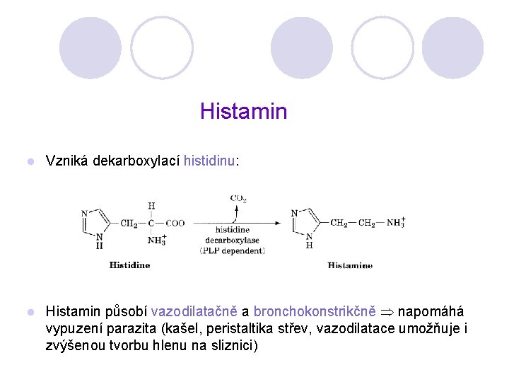 Histamin l Vzniká dekarboxylací histidinu: l Histamin působí vazodilatačně a bronchokonstrikčně napomáhá vypuzení parazita