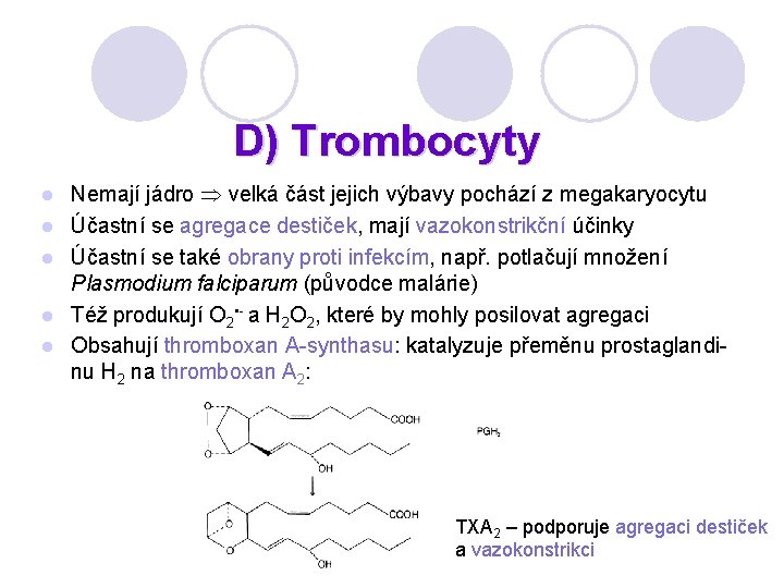 D) Trombocyty l l l Nemají jádro velká část jejich výbavy pochází z megakaryocytu