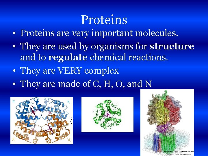 Proteins • Proteins are very important molecules. • They are used by organisms for