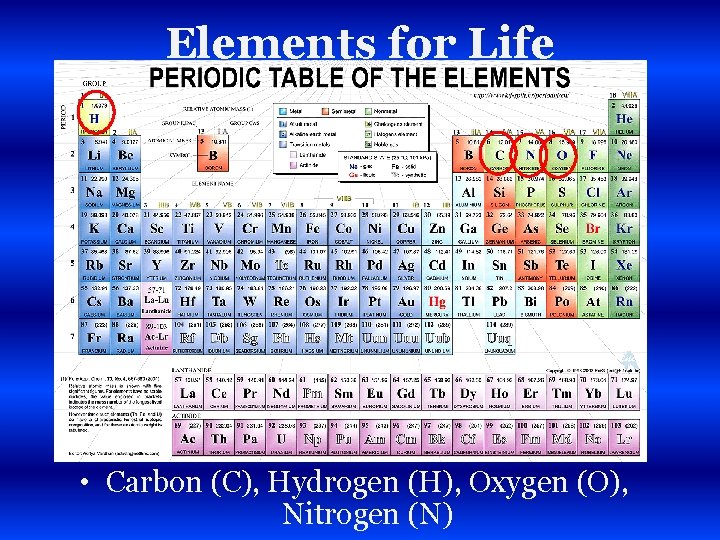 Elements for Life • Carbon (C), Hydrogen (H), Oxygen (O), Nitrogen (N) 