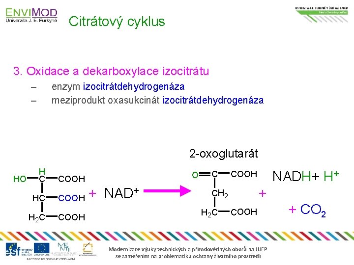 Citrátový cyklus 3. Oxidace a dekarboxylace izocitrátu – – enzym izocitrátdehydrogenáza meziprodukt oxasukcinát izocitrátdehydrogenáza