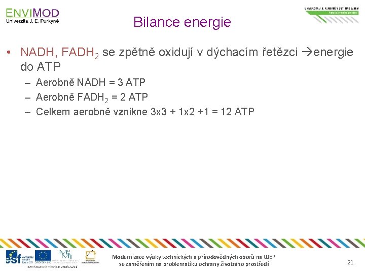 Bilance energie • NADH, FADH 2 se zpětně oxidují v dýchacím řetězci energie do