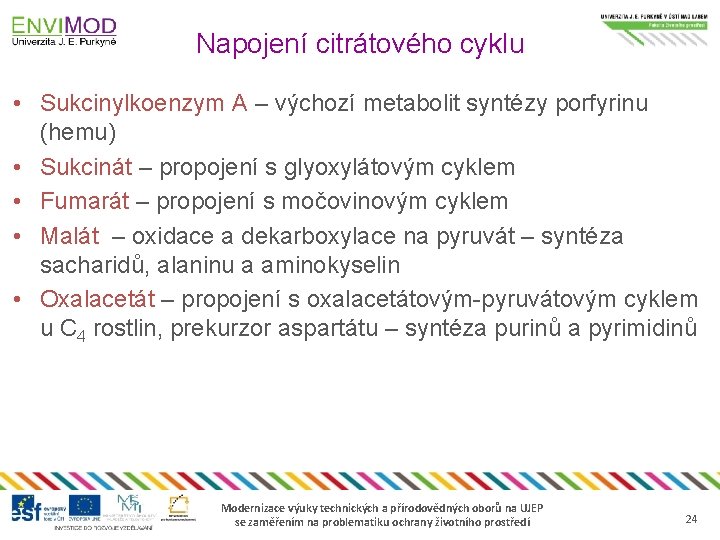 Napojení citrátového cyklu • Sukcinylkoenzym A – výchozí metabolit syntézy porfyrinu (hemu) • Sukcinát