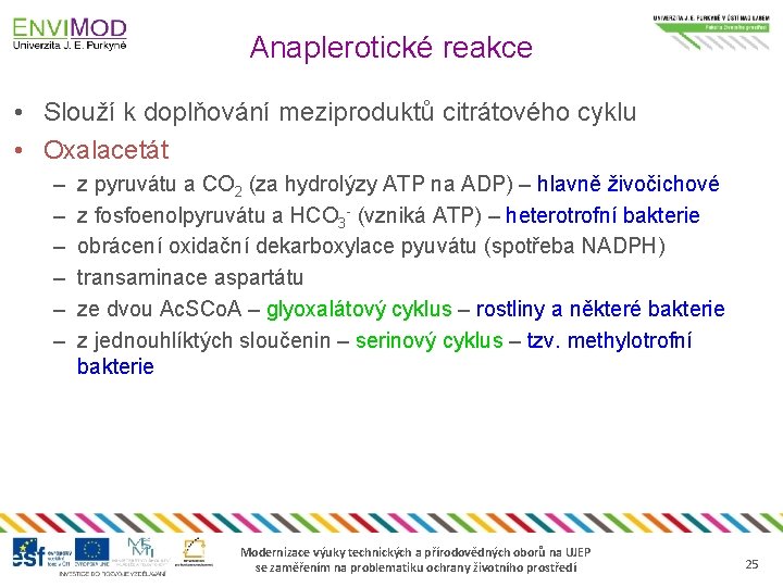 Anaplerotické reakce • Slouží k doplňování meziproduktů citrátového cyklu • Oxalacetát – – –