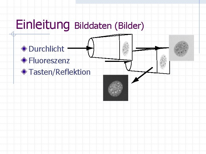 Einleitung Bilddaten (Bilder) Durchlicht Fluoreszenz Tasten/Reflektion 