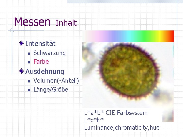 Messen Inhalt Intensität n n Schwärzung Farbe Ausdehnung n n Volumen(-Anteil) Länge/Größe L*a*b* CIE