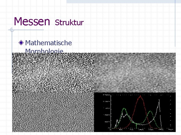 Messen Struktur Mathematische Morphologie Transformation: lineare strukturiende Elemente 