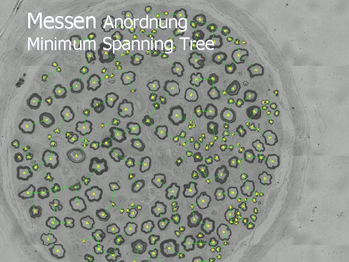 Messen Anordnung Minimum Spanning Tree 