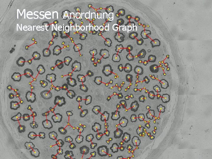 Messen Anordnung Nearest Neighborhood Graph 