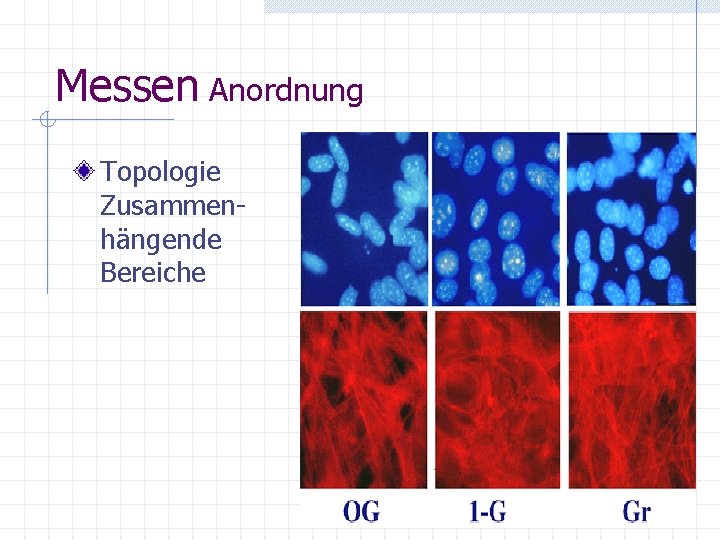 Messen Anordnung Topologie Zusammenhängende Bereiche 