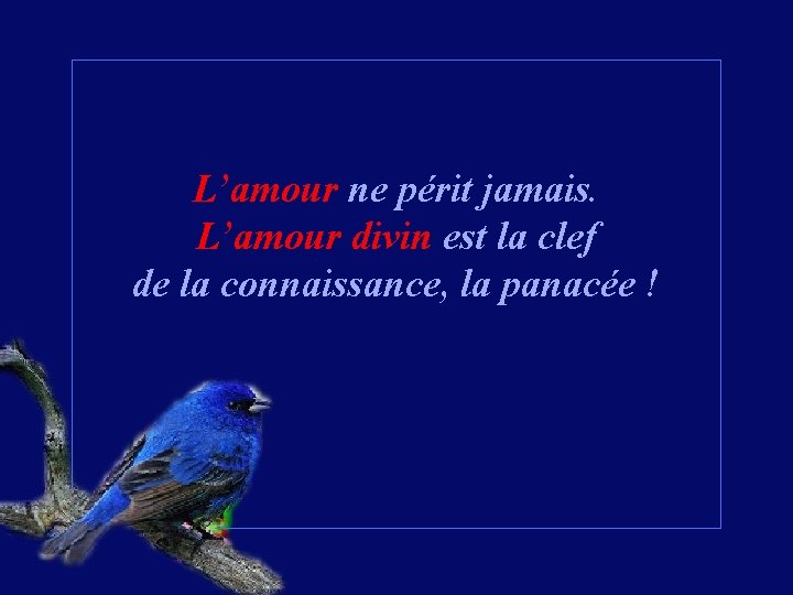 L’amour ne périt jamais. L’amour divin est la clef de la connaissance, la panacée