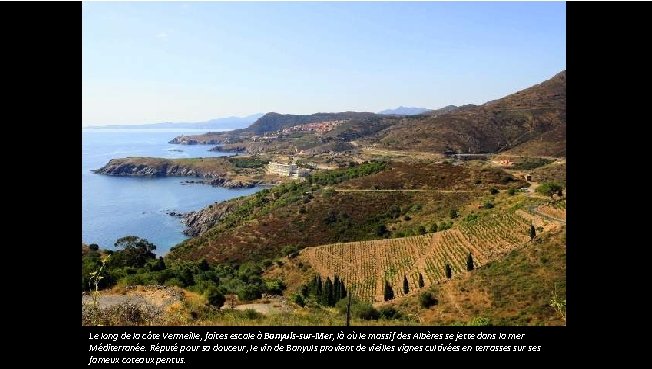 Le long de la côte Vermeille, faites escale à Banyuls-sur-Mer, là où le massif