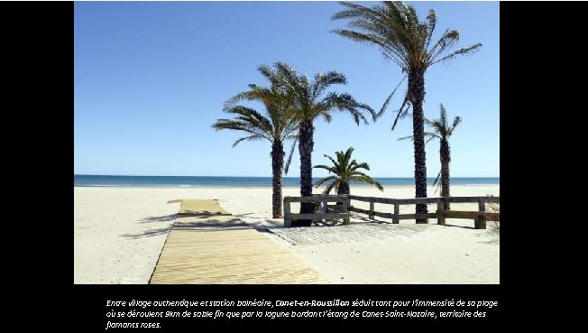 Entre village authentique et station balnéaire, Canet-en-Roussillon séduit tant pour l’immensité de sa plage