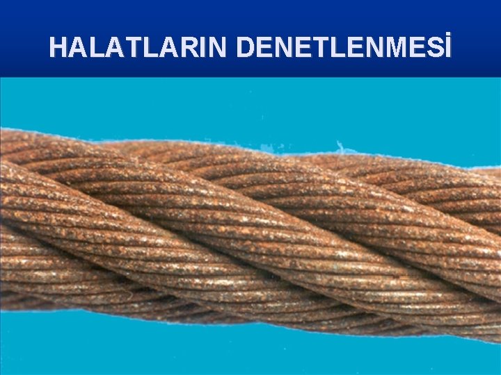 HALATLARIN DENETLENMESİ 