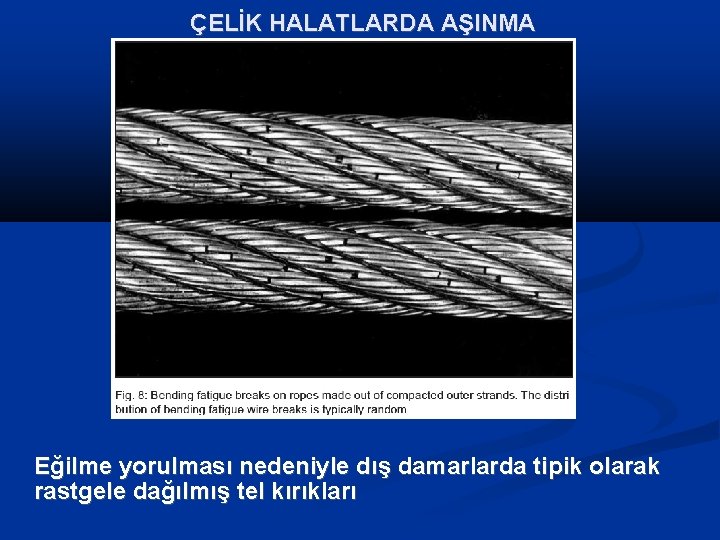 ÇELİK HALATLARDA AŞINMA Eğilme yorulması nedeniyle dış damarlarda tipik olarak rastgele dağılmış tel kırıkları