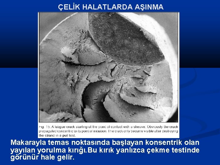 ÇELİK HALATLARDA AŞINMA Makarayla temas noktasında başlayan konsentrik olan yayılan yorulma kırığı. Bu kırık