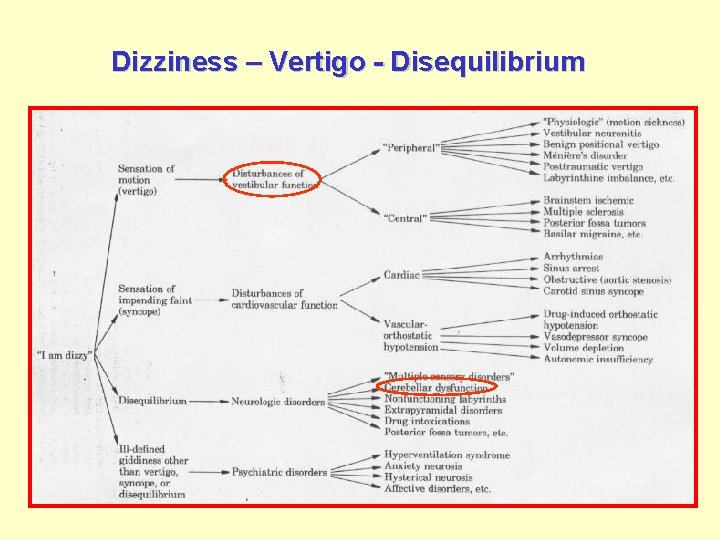 Dizziness – Vertigo - Disequilibrium 