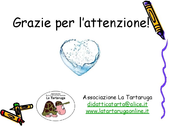 Grazie per l’attenzione! Associazione La Tartaruga didatticatarta@alice. it www. latartarugaonline. it 