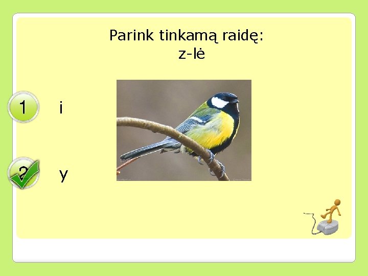 Parink tinkamą raidę: z-lė i y 
