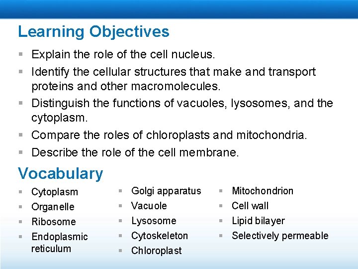Cell Structure Learning Objectives Explain the role of